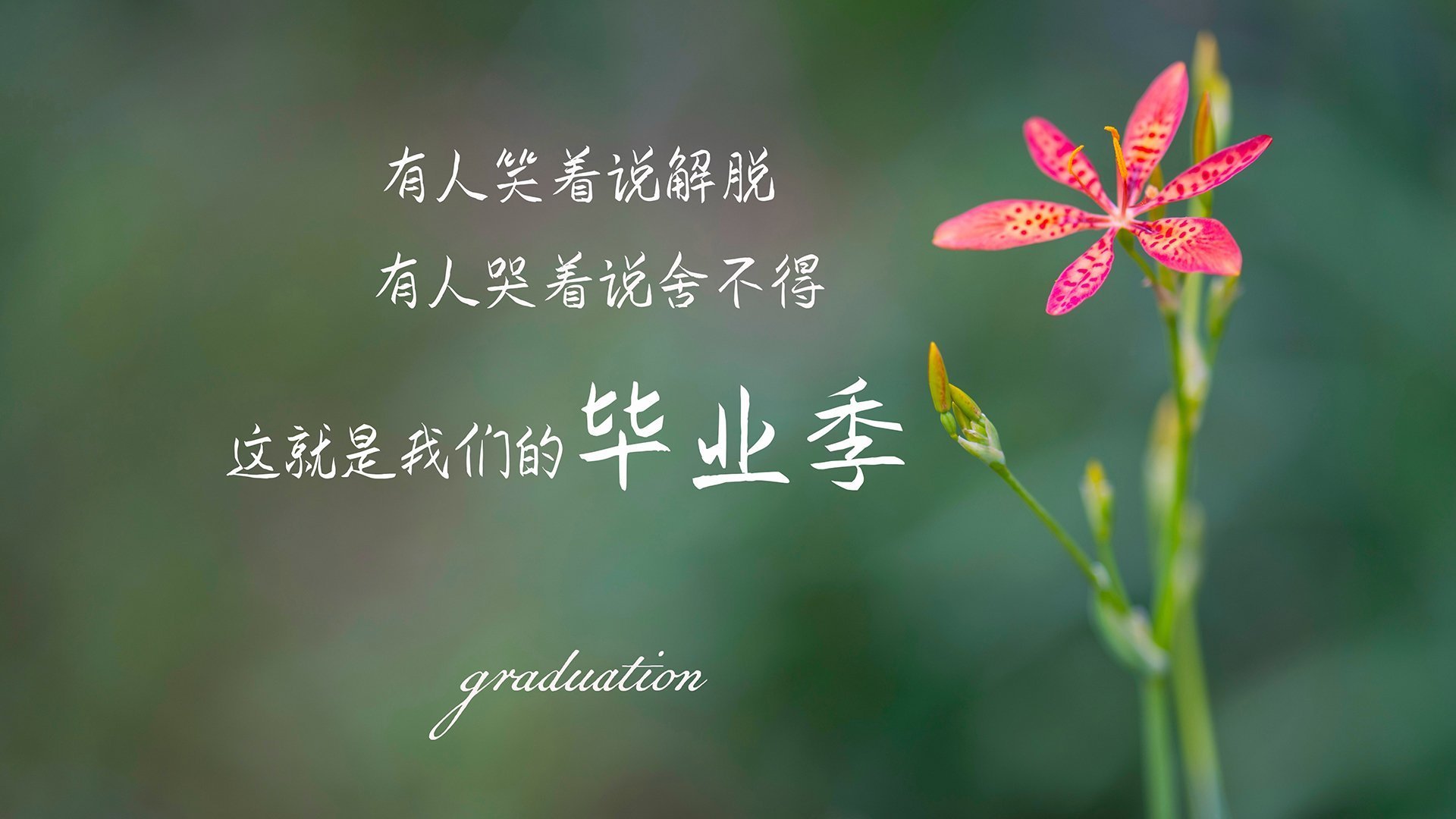 开云体育-2025年中超联赛直播平台全面升级，2021中超联赛直播平台