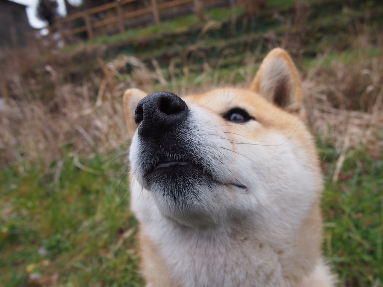 开云官网APP下载-CS2 选手训练成果持续提升，cs选手spawn