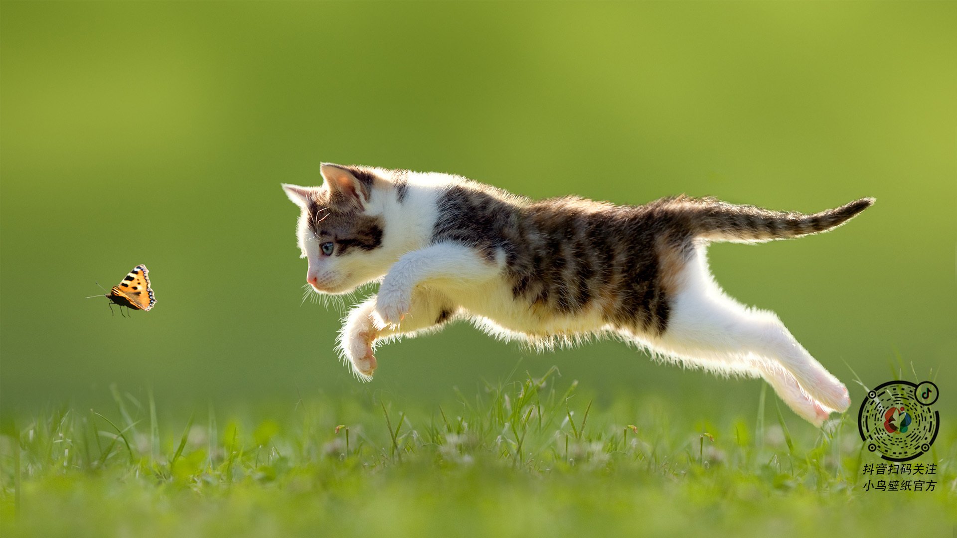 开云综合服务-_凯尔特人上演精彩逆转，士气大振_，凯尔特人最新