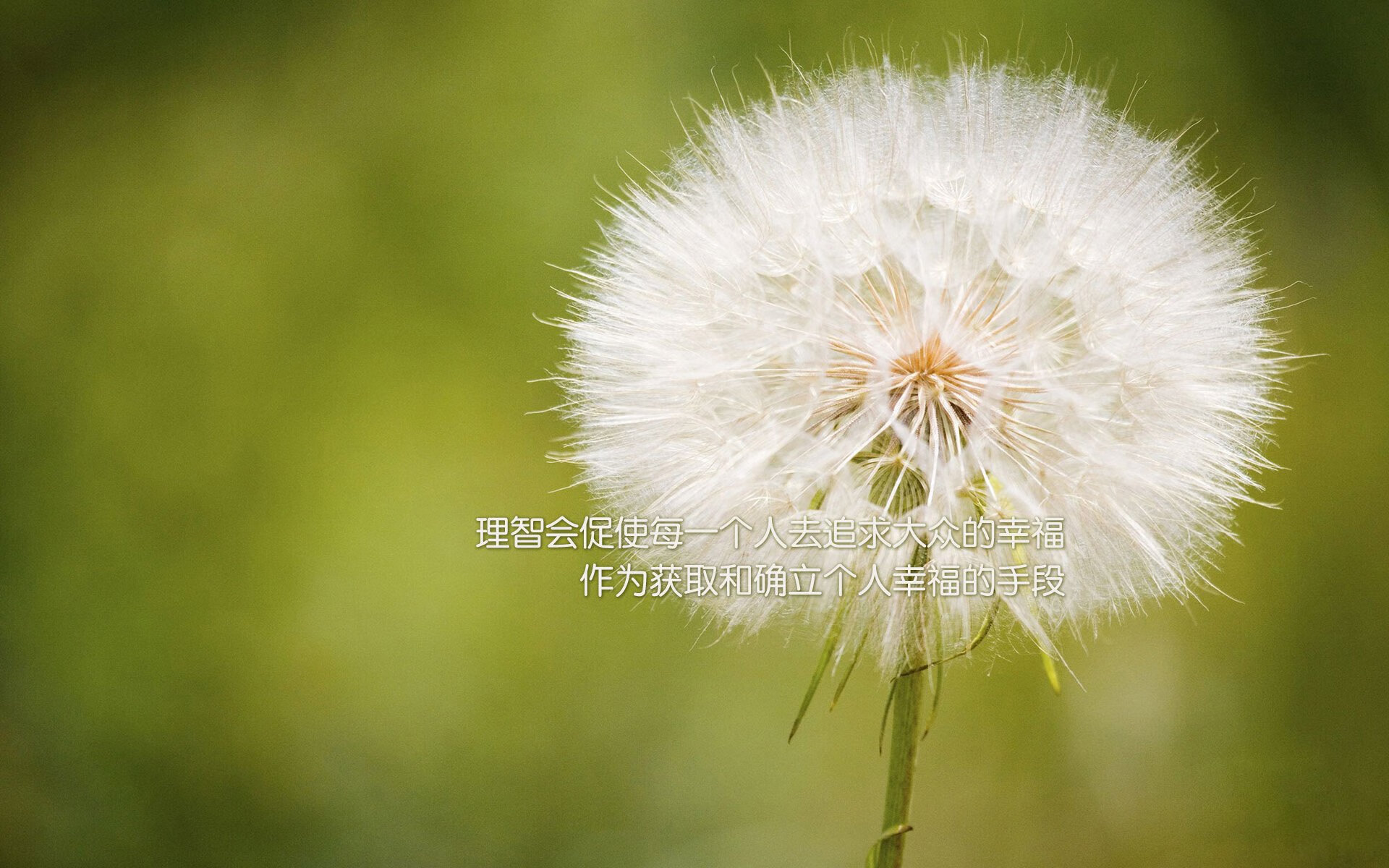 开云注册-_极地冰钓大赛：冰天雪地中的钓鱼挑战_，冰钓鱼获