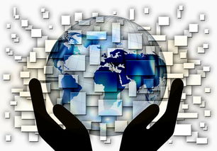 开云娱乐官网-国家滑板协会公布全国青少年排名更新机制，国家滑板队训练中心